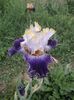 IMG-20200517-WA0077