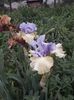 IMG-20200517-WA0072