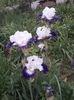 IMG-20200517-WA0070