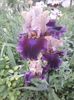 IMG-20200517-WA0067