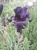 IMG-20200517-WA0059