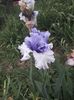 IMG-20200517-WA0058