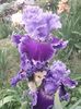 IMG-20200517-WA0053