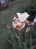 IMG-20200517-WA0044