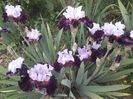 IMG-20200517-WA0042