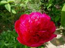 Many Happy Return