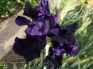 obsidian-12