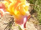 P1360133