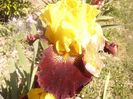 P1360167