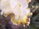 P1360380