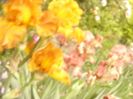 P1360413