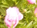 P1360455