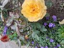 Georges denjeanIMG-20200522-WA0027