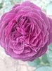 Ebb tideIMG-20200522-WA0048