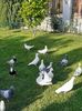 IMG-20200525-WA0018