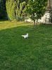 IMG-20200525-WA0021