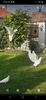 IMG-20200525-WA0010