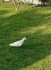IMG-20200525-WA0014