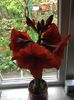 IMG-20190412-WA0001