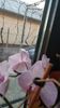 IMG-20200125-WA0001