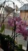 IMG-20200125-WA0002