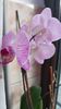 IMG-20200125-WA0003