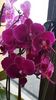 IMG-20200125-WA0005