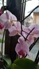 IMG-20200125-WA0006