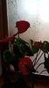 IMG-20200125-WA0008