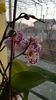 IMG-20200125-WA0009