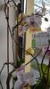 IMG-20200125-WA0012