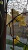 IMG-20200125-WA0013