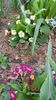 IMG-20200405-WA0010