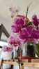 IMG-20200405-WA0015