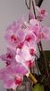 IMG-20200222-WA0000