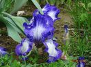 Rococo