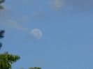 Luna in crestere in Scorpion