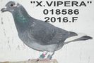 2016.018586.F