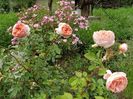Abraham Darby