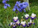 Yaquina blue Fladh of light