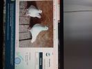 ContactPhoto-IMG_20200417_173456