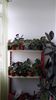 IMG-20200609-WA0009
