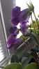 IMG-20200609-WA0000