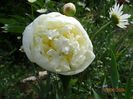 Duchesse de Nemours