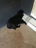IMG-20200609-WA0010