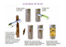 ALTOIRE TRANDAFIR