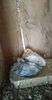 received_2702393756533733