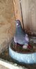 received_1568613239961448