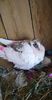 received_152232822857776