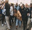 — Continuitatea jocului anterior. „Haideţi fraţilor, cine urmează?” În urma respectivei întrebări,